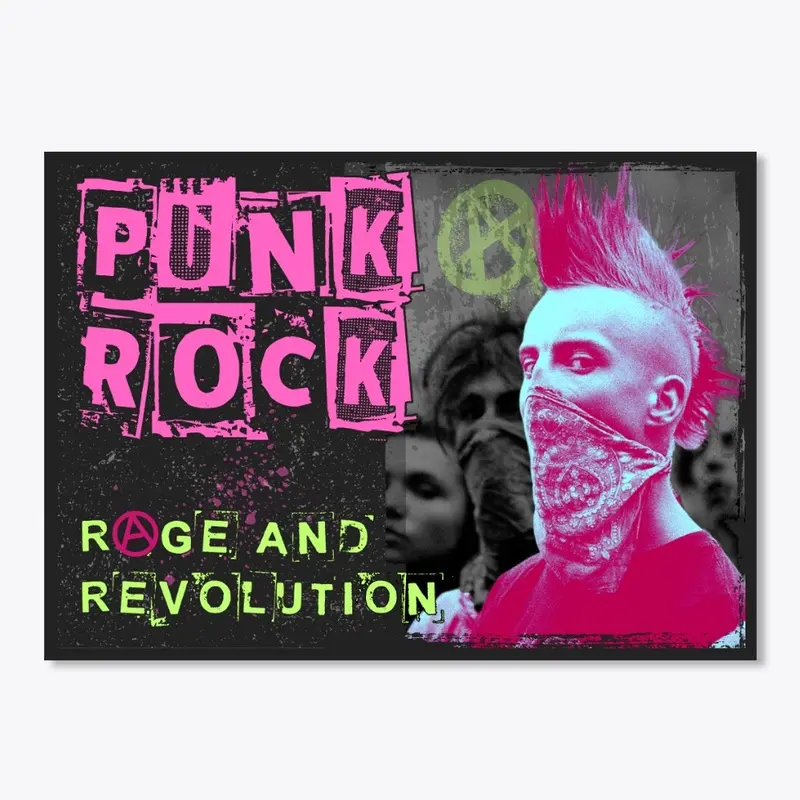 Punk Rock Rage and Revolution